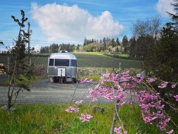 An Airstream trailer is parked on a grassy path, surrounded by trees, pink blossoms, and a scenic view of hills and blue sky.
