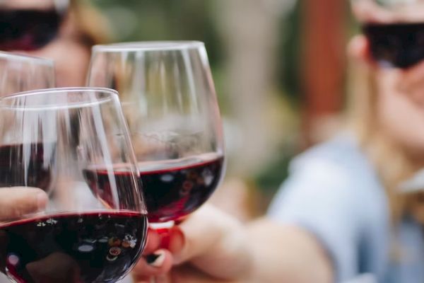 People are toasting with red wine glasses in a celebratory or social gathering atmosphere.