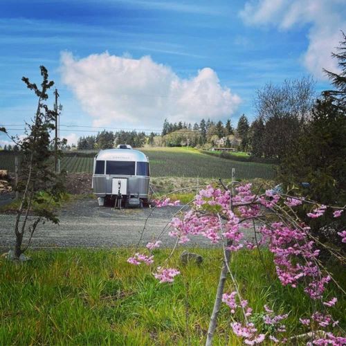 A silver camper sits in a rural landscape, with pink flowers in the foreground and fields under a blue sky with clouds.